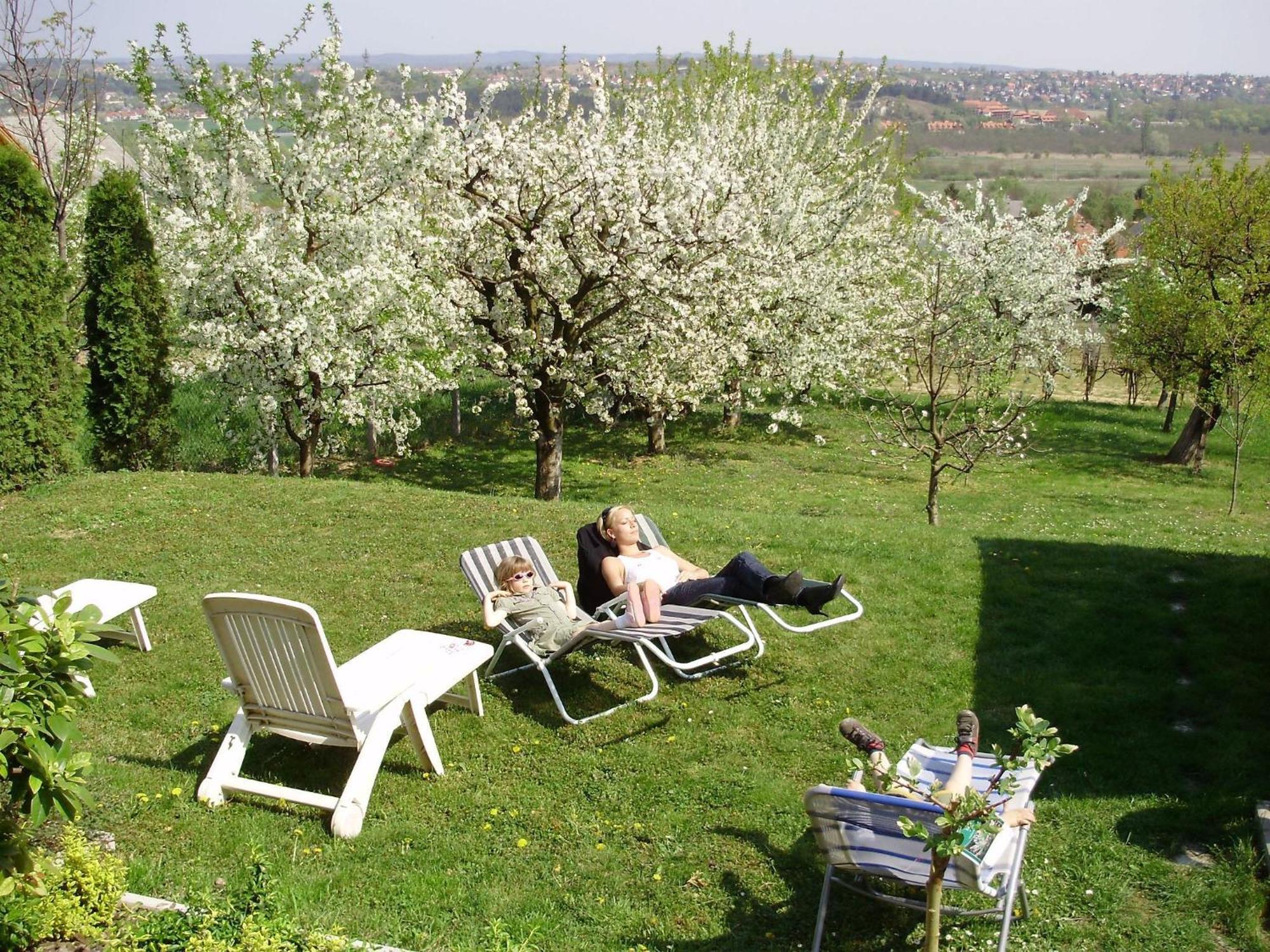 Apartman Berki Hévíz Extérieur photo