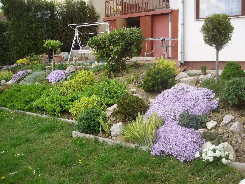 Apartman Berki Hévíz Chambre photo