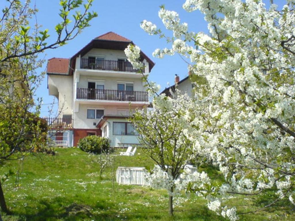 Apartman Berki Hévíz Extérieur photo